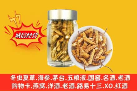 阳泉市城区回收散虫草
