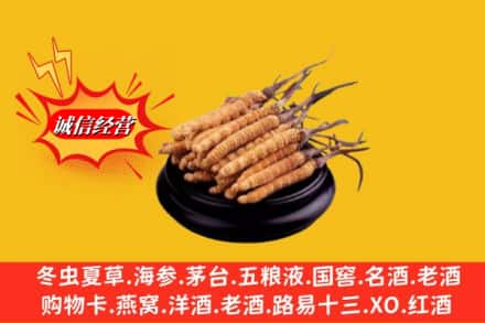 阳泉市城区求购回收虫草多少钱每克